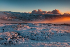 Winter landscape at Estrela Mountain