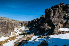 Estrela Mountain Natural Park