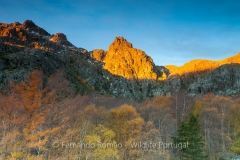 Serra da Estrela Nature Park