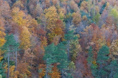 1920px_DSC_8437