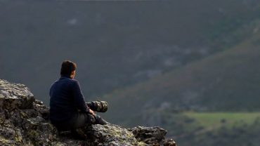 Reference in the Rewilding Europe annual review 2015