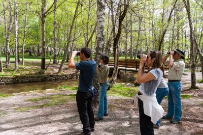 Birdwatching Serra da Estrela