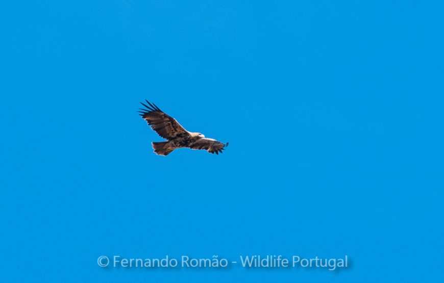 Passeio de natureza no Geopark Naturtejo