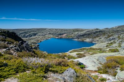 Estrela Mountain Natural Park