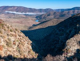 Douro International Natural Park