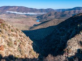 Douro International Natural Park