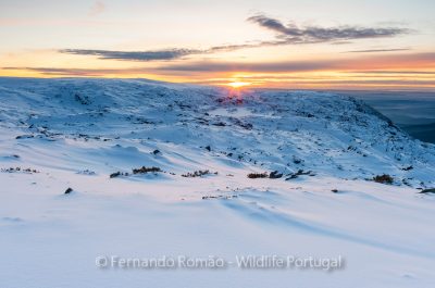 Sunset at Estrela Mountain