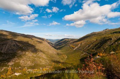 Zêzere Glacier Valley, Estrela Mountain Natural Park