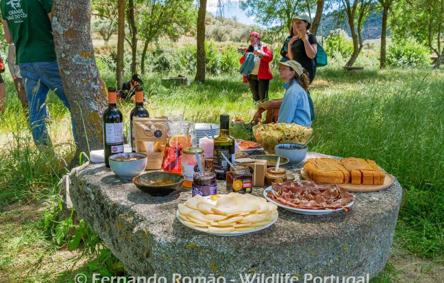 Rewilding areas of the Greater Côa Valley
