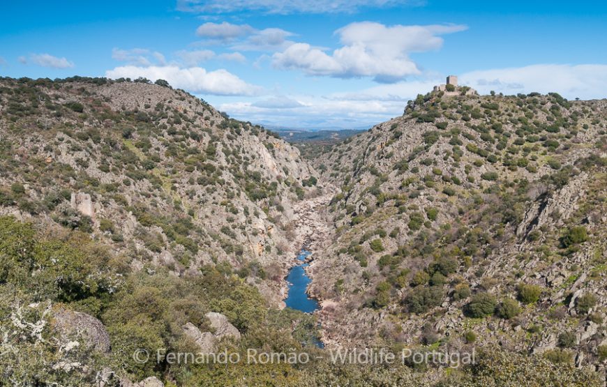Nature tour in Geopark Naturtejo