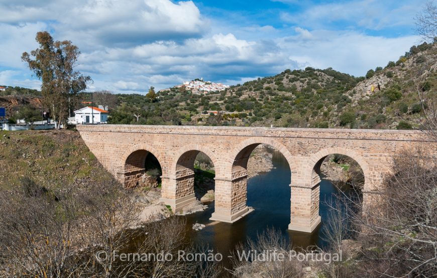 Nature tour in Geopark Naturtejo