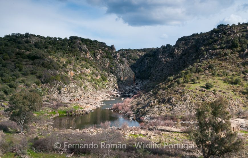 Nature tour in Geopark Naturtejo