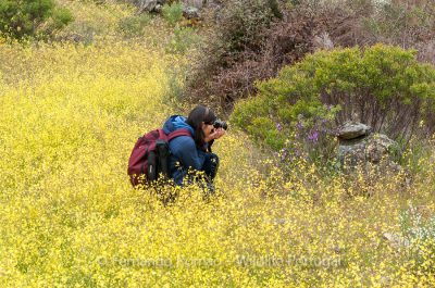 Foto Tour Douro Internacional