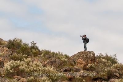 Foto Tour Douro Internacional