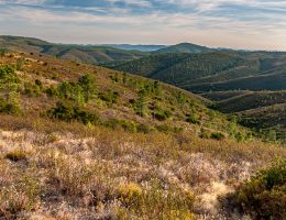 Malcata Mountain Natural Reserve