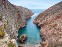 Berlengas Island