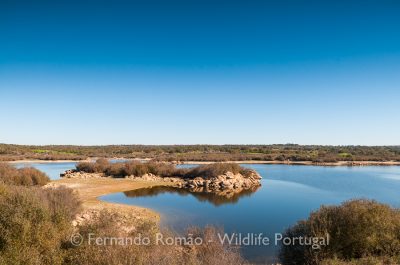Barragem de Póvoa e Meadas