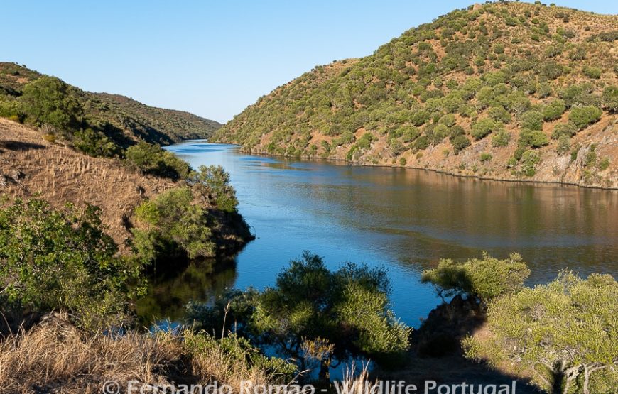 Nature tour in Geopark Naturtejo