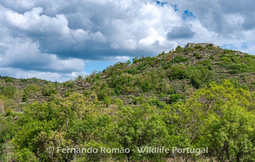 The Greater Côa Valley Expedition