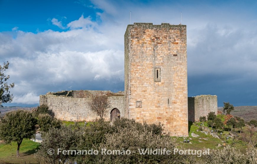 The Greater Côa Valley Expedition