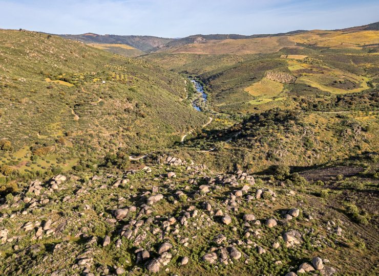 El Gran Valle del Côa