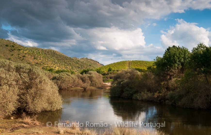 The Greater Côa Valley Expedition