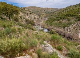 The Greater Coa Valley