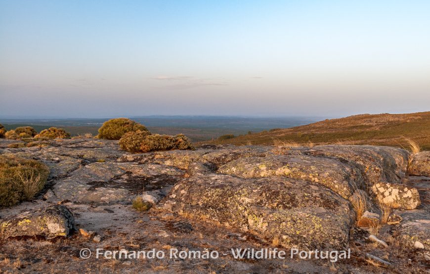 The Greater Côa Valley Expedition