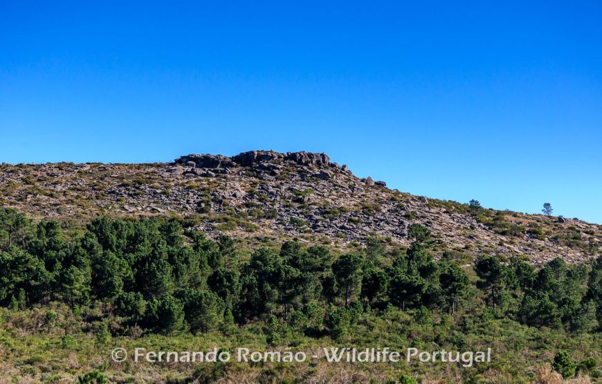The Greater Côa Valley Expedition
