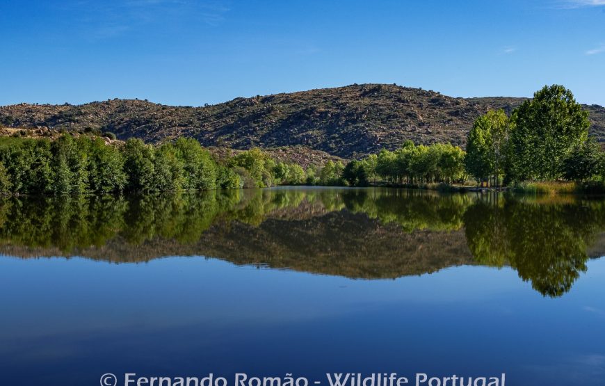 The Greater Côa Valley Expedition