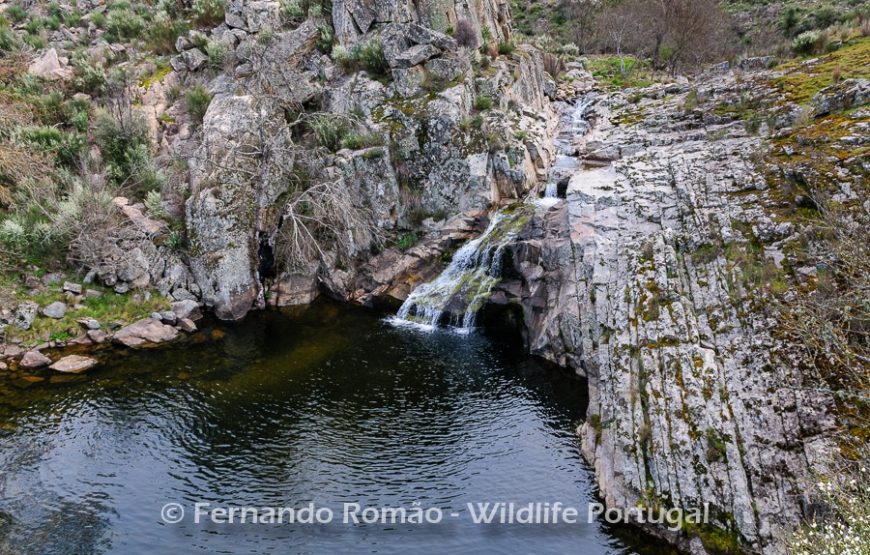 The Greater Côa Valley Expedition