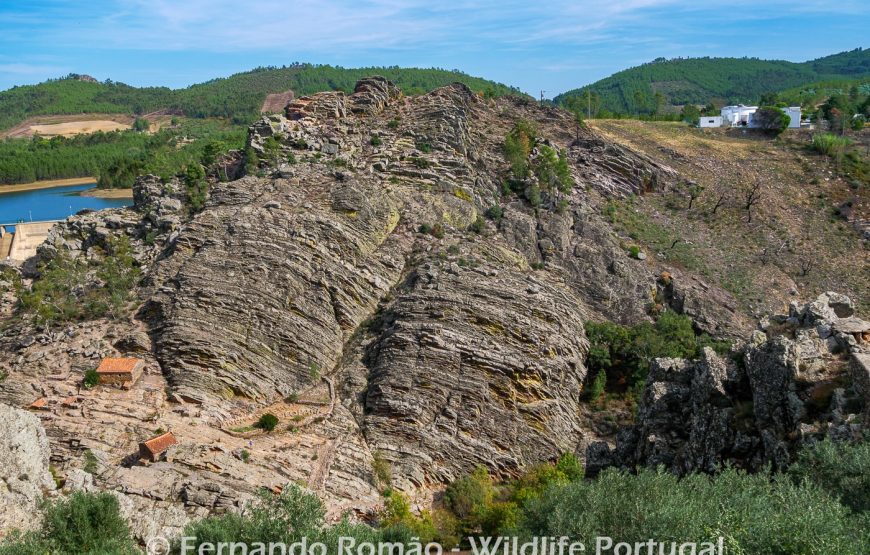 Nature tour in Geopark Naturtejo
