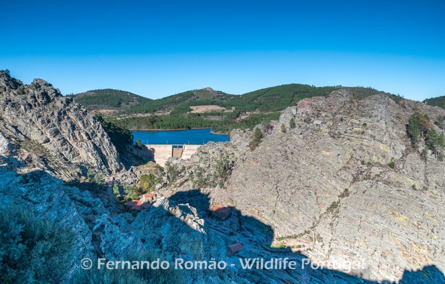 Nature tour in Geopark Naturtejo