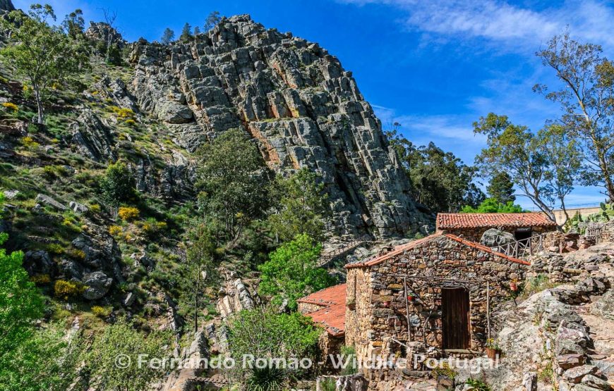 Nature tour in Geopark Naturtejo