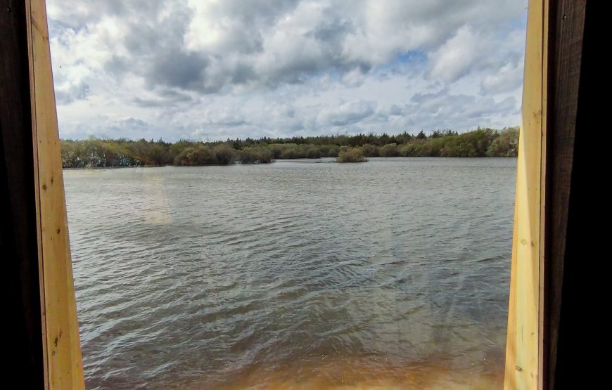 Experiência Safari no Grande Vale do Côa