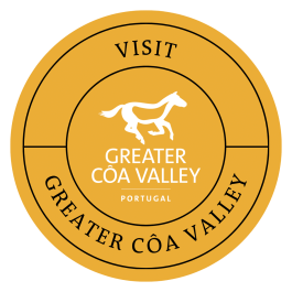 Visit the Greater Côa Valley