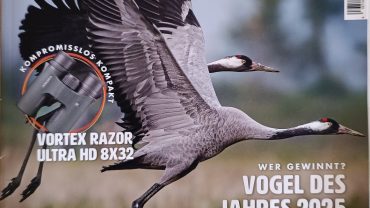 Vogel Magazin