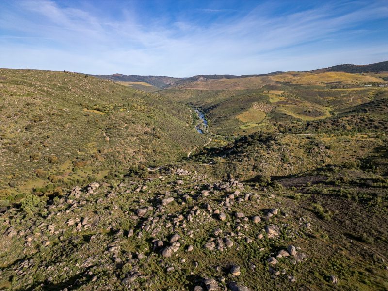 The Greater Côa Valley
