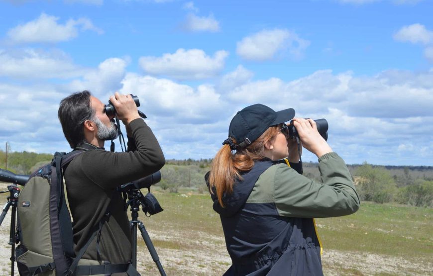 Experiência Safari no Grande Vale do Côa