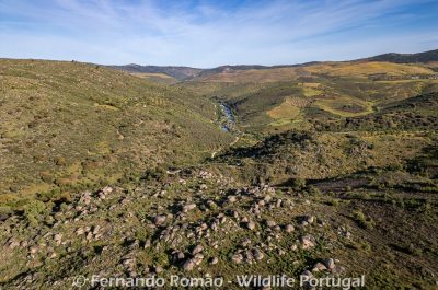 romao.photography@gmail.com