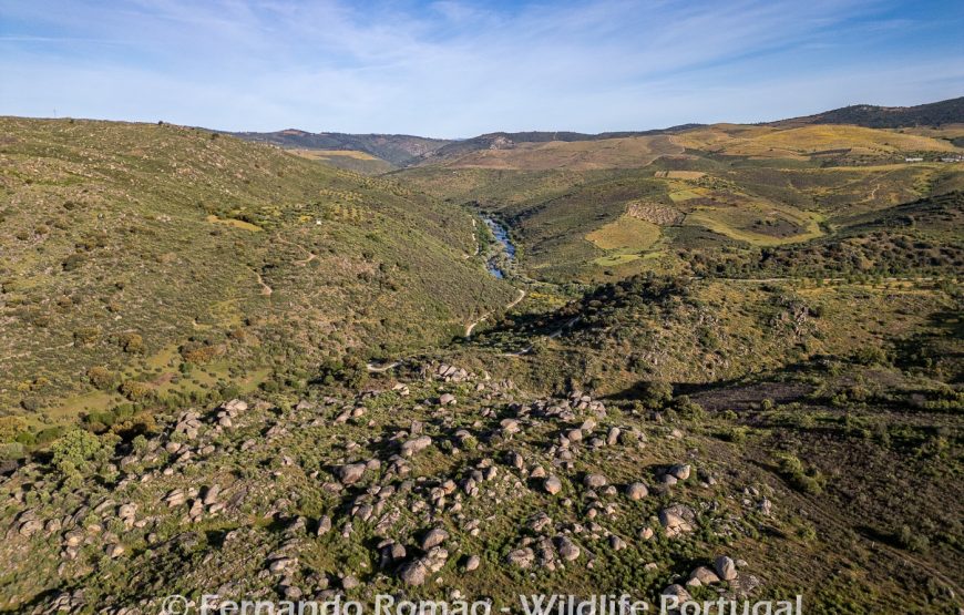 The Greater Côa Valley Expedition