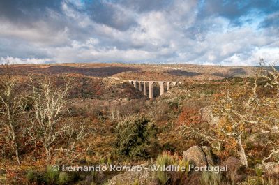The Greater Côa Valley