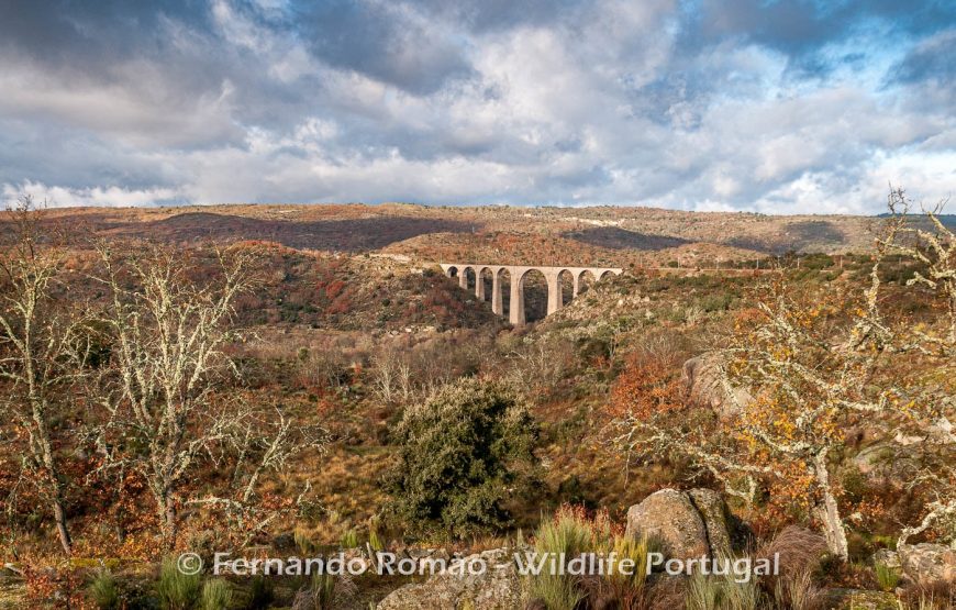 The Greater Côa Valley Expedition