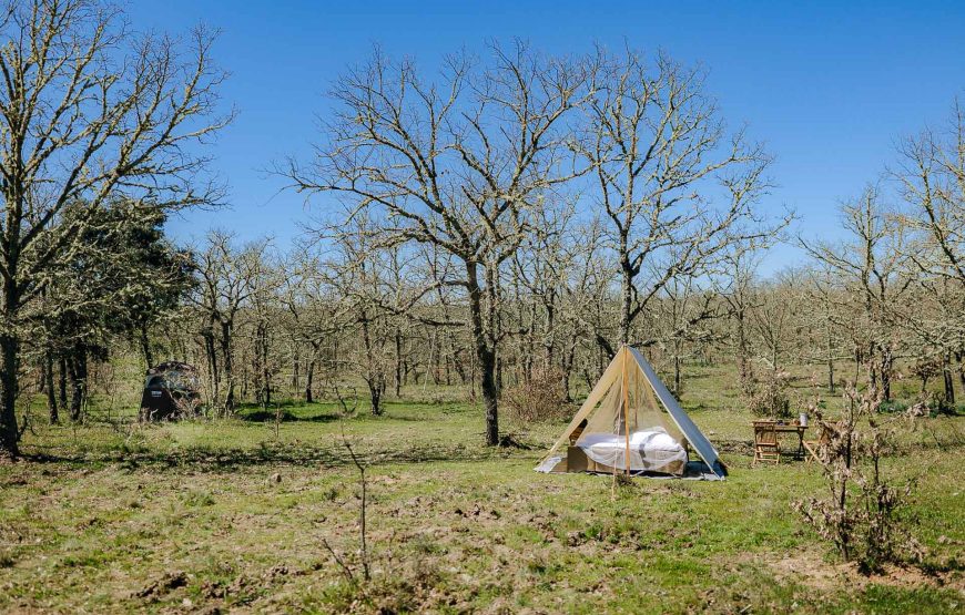 Experiência Safari no Grande Vale do Côa