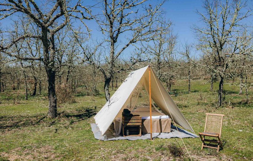 Experiência Safari no Grande Vale do Côa