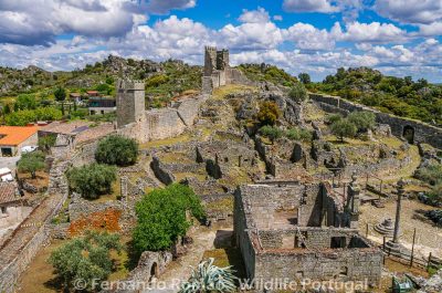 Marialva Historical Village