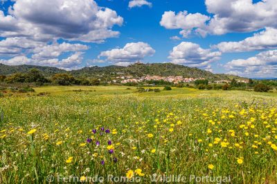 Marialva Historical Village