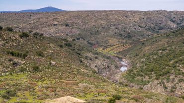 Ermo das Aguias rewilding area