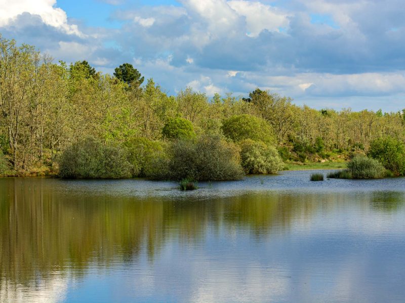 Paul de Toirões rewilding area