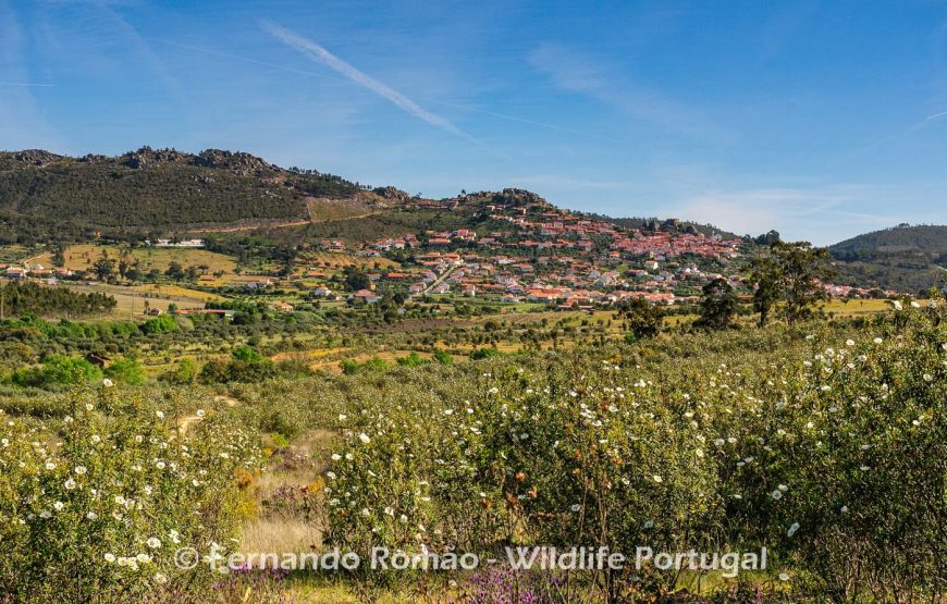 Nature tour in Geopark Naturtejo